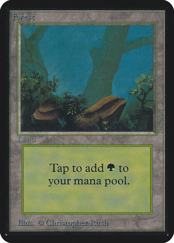 Forest [Limited Edition Alpha]