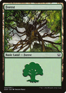 Forest [Duel Decks: Nissa vs. Ob Nixilis]
