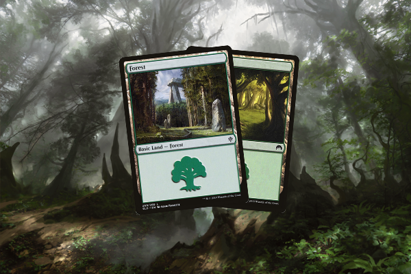 Basic Forest (Assorted)
