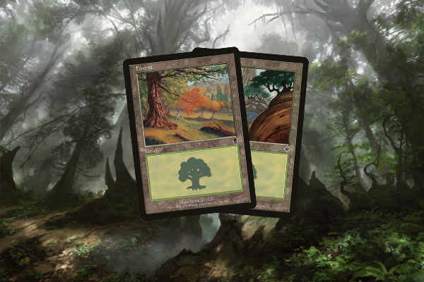 Basic Forest (Assorted)