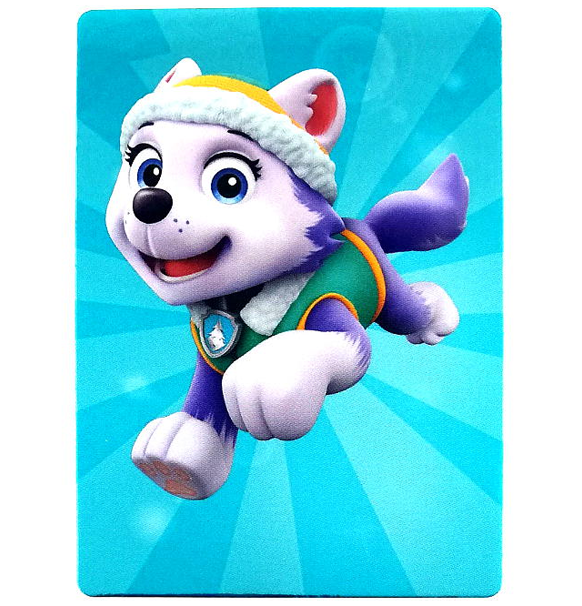 Panini Paw Patrol Trading Cards Starter Pack